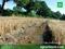 Vegetationsreport 2010: Feuchte B&ouml;den richtig bearbeiten