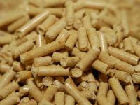 Pellets.jpg 