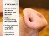 sh_fitte_ferkel_titel_2.jpg 