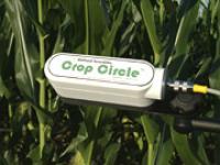 cropcircle_wb.jpg N-Sensor
