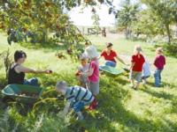 Bauernhofkindergarten- Die guten �pfel 1.jpg 