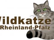 Teaser Bild