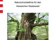 Teaser Bild