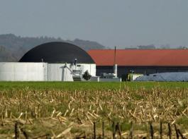 Bislang ist auf Basis des neuen EEG keine neue Anlage in Betrieb genommen worden. © landpixel