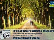 Teaser Bild