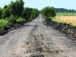 Baustelle eines fr�heren Betonweges: Ebener Untergrund und ein seitliches Gef�lle sind unerl�sslich f�r jeden Feld- und Wirtschaftsweg. &copy; Strotmann
