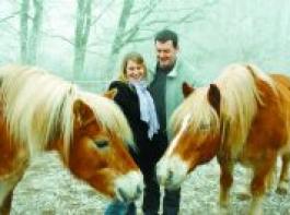 Steffen hat nicht nur auf Anhieb Corinna, sondern auch die Haflinger von Familie L�cking in sein Herz geschlossen. Foto: Lehmann