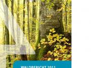 Teaser Bild