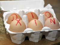 Dioxin_600.jpg 