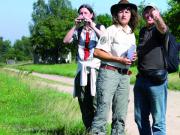 Teaser Bild