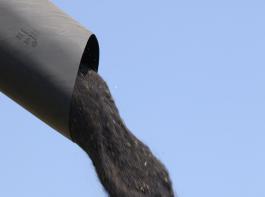 An der Matif �berschritt der Fronttermin vom Raps die 500 Euro Marke.&copy; landpixel.de
