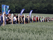feld_besucher.jpg 