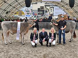 Championrind Denmark Marsielle (rechts) und Vizechampion Alinghi Ria mit Vorf�hrer, Richter und Ehrendamen. Foto: Michael Eugster (Schweizer Bauer)