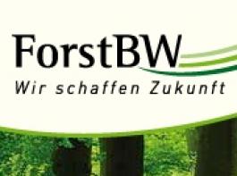 ForstBW zieht positive Bilanz