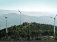 Windkraft_Wald_Foto.jpg 