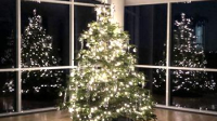 Weihnachtsbaum im Haus der hessischen Landwirtschaft in Friedrichsdorf