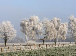 &copy; uschi dreiucker  / pixelio.de