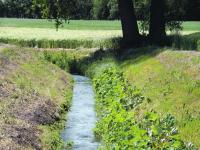Wasserrecht_Foto_Bach_web.jpg 
