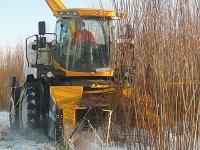 New_Holland_Energieplantage.jpg 