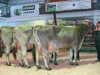 _Vorarlberg_Championat 