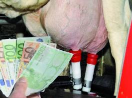 Im kommenden Jahr k�nnten die Milchpreise im Jahresschnitt relativ stabil bleiben. Foto: agrarpress 