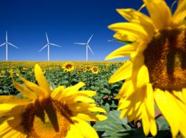 (Bild: iStockphoto)