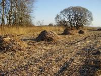 _Bild_C.A.R.M.E.N._Landschaftspflegematerial 