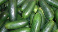 temp Image
