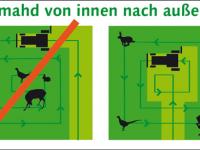 Grafik_Fruehmahd_600.jpg 