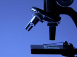 &copy; Melanie Kintz/Fotolia