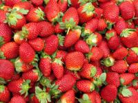 erdbeeren.jpg 