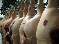 Schlachthof_Schweinehaelfte.jpg 