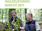 Teaser Bild