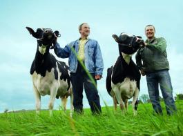 Rudi Hadrossek (li.) h�lt hier die junge Alert-2-Tochter Linea und sein Sohn Klaus die EX-92 eingestufte Portugal. &copy; Foto: Diersing-Espenhorst