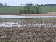 af_erosion.jpg Erosion, Verschlämmung