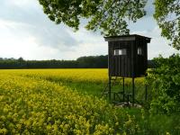Landschaft_Raupert.JPG 