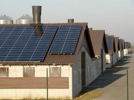 Mit 1,35 Millionen Hektar verf�gt Mecklenburg-Vorpommern �ber 8,1 Prozent der landwirtschaftlichen Nutzfl�che in Deutschland.&copy; M�hlhausen/landpixel