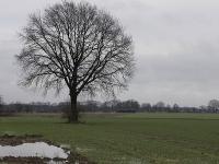 Januar2012.jpg 