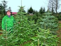 _Christbaum_WHO 