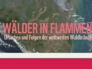 Teaser Bild