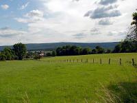 gruenland-landschaft.jpg 