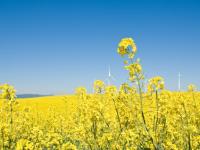 Fotolia_32181822_XS.jpg 