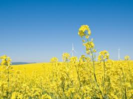 (Bild: Fotolia)