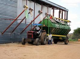 Verladen von Getreide in einen Anh�nger mit Getreidetanks in S�dafrika.&copy; landpixel