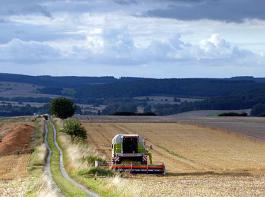 Das unbest�ndige Wetter erschwert die Erntebedingungen in Deutschland. &copy; M�hlhausen/landpixel