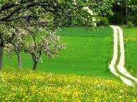 Fruehling_Landschaft.jpg 