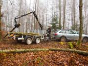 Teaser Bild