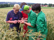 af_getrbesichtigung.jpg Ausbildung, Getreide
