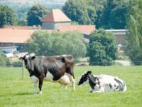 07_Gr�nlandf�rderung_2.jpg 