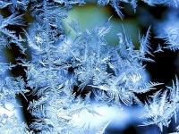Frost.jpg 